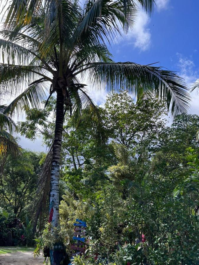 Recanto Da Vera Ilhabela Exteriör bild